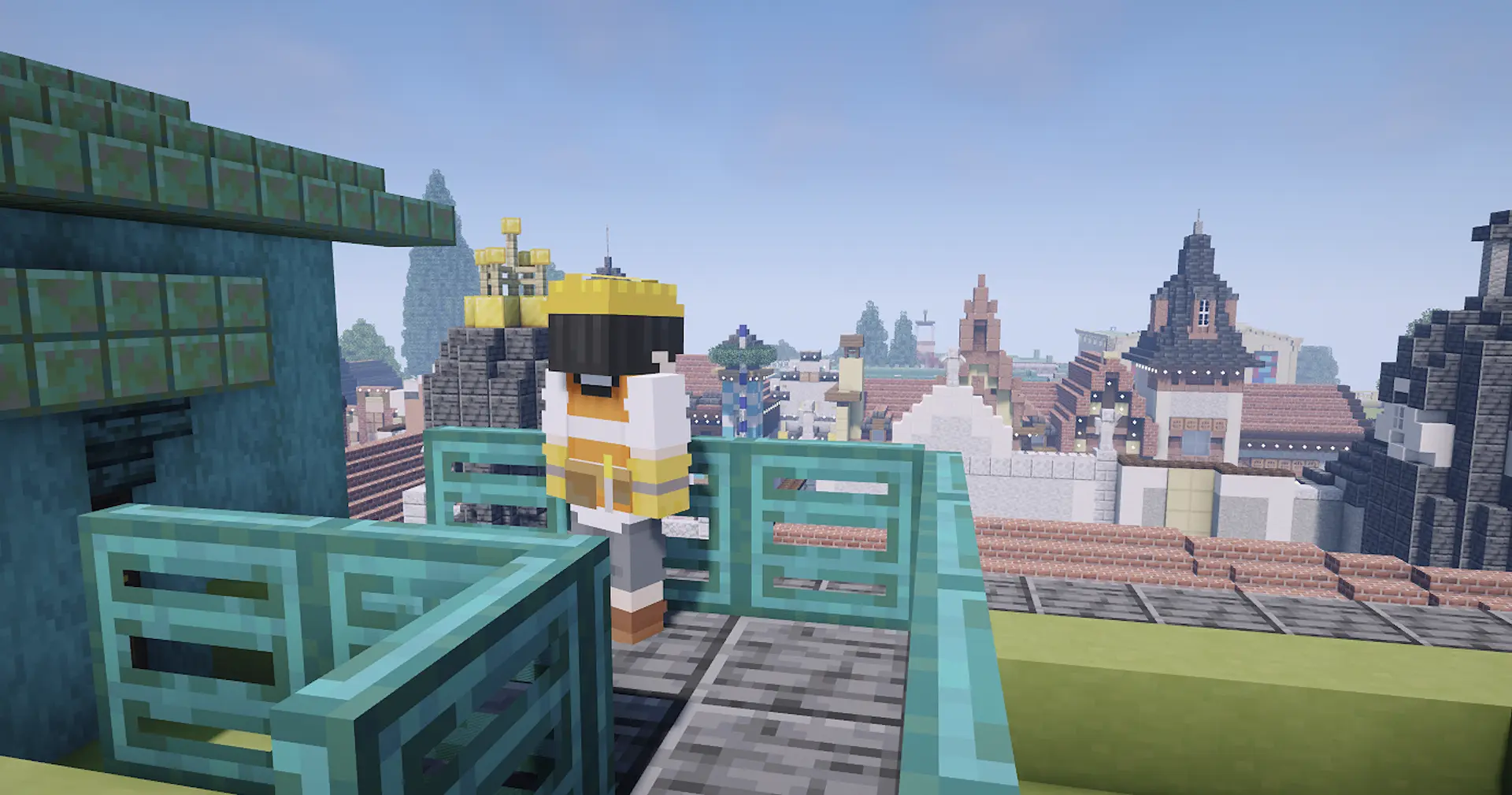 Staff member on top of voletarium